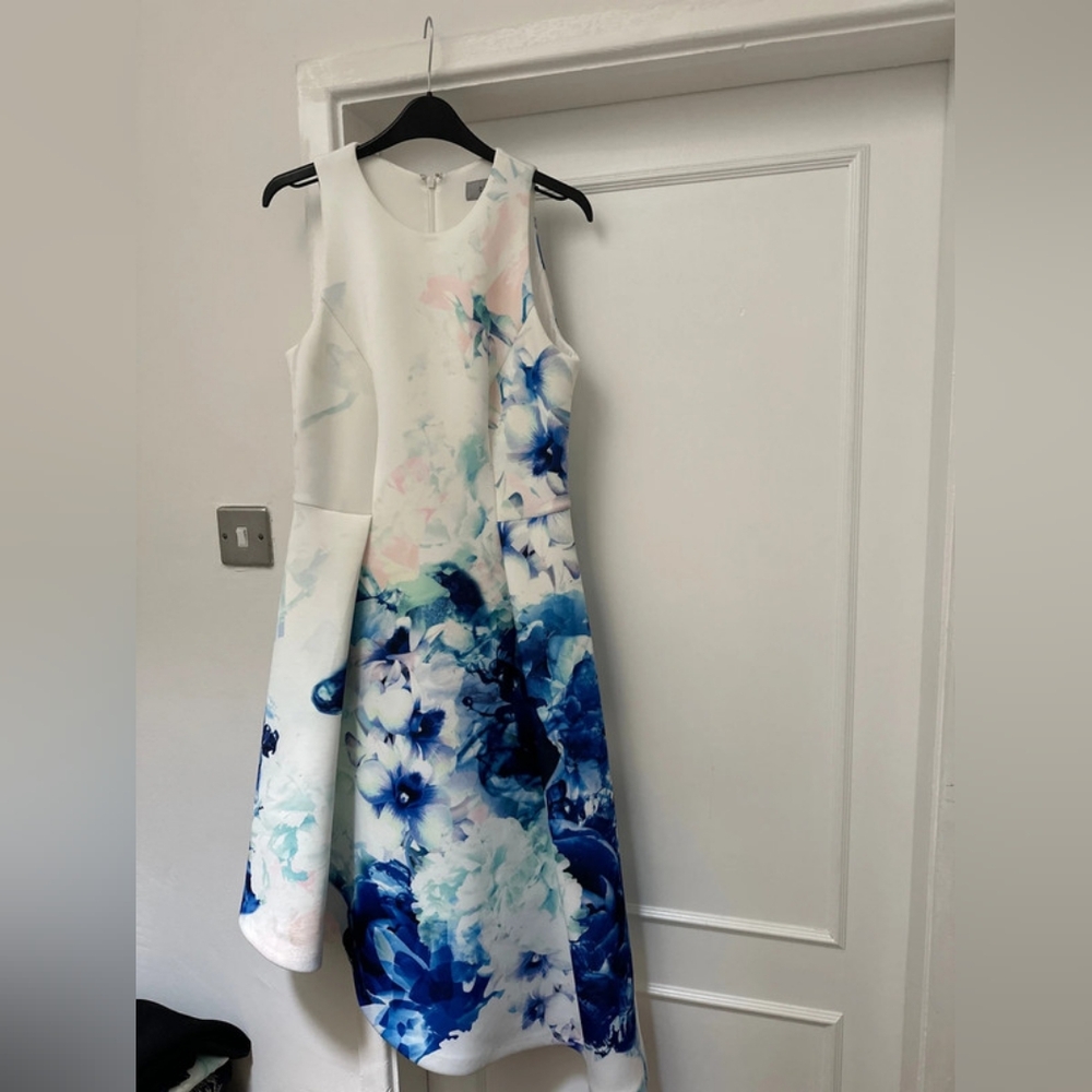 Floral Sleeveless Dress in Blue and White